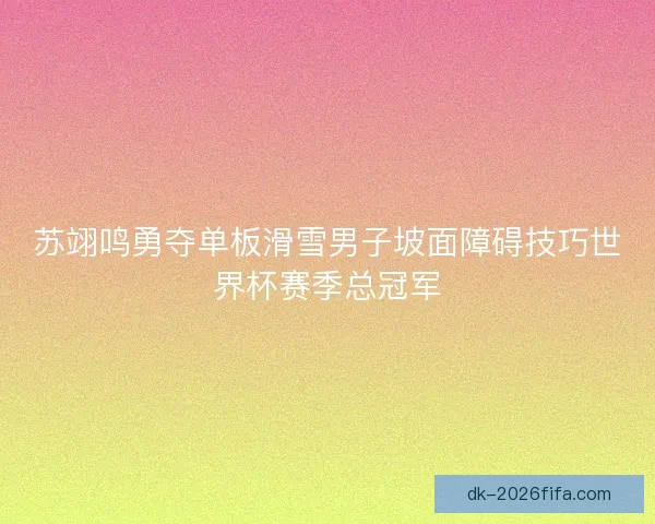 苏翊鸣勇夺单板滑雪男子坡面障碍技巧世界杯赛季总冠军