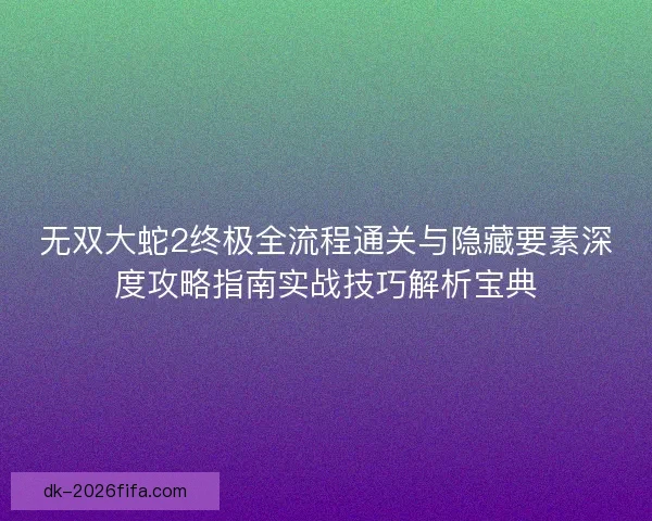 无双大蛇2终极全流程通关与隐藏要素深度攻略指南实战技巧解析宝典